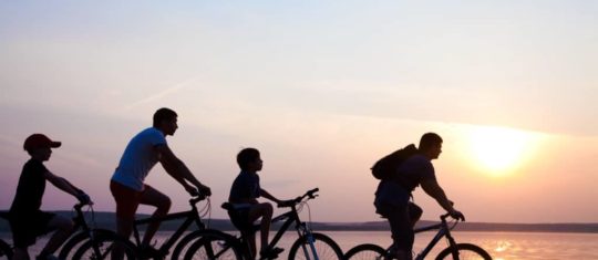 Fat bike